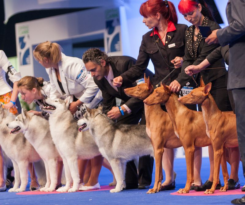 Left or Right — Right or Wrong …